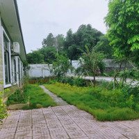 Chuyển Nhượng Nhà Vườn Tại Xã Hoà Sơn, Lương Sơn, Hoà Bình 3036M2 Đẹp Sẵn Ở