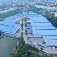 Toàn Phát Logistics cho thuê kho tối thiểu 50m2