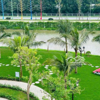 Cần Bán Nhanh Vinhomes Ocean Park 2-3 Biệt Thự View Hồ 156M Và Căn Xẻ Khe 84M, Liên Hệ: 0984.486.179