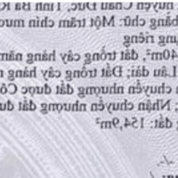 Bán đất mặt tiền đường 23 xã Nghĩa thành gần đầu đường 31