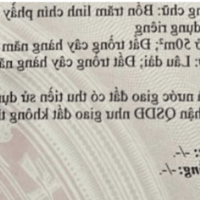 Gia đình cần tiền gấp phải bán mảnh đất tâm huyết tại xã Nghĩa Thành, châu đức BRVT.