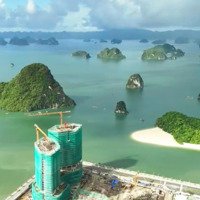 Bán Căn Hộ View Biển Crystal Holiday Vân Đồn Giá Bán 1,7 Tỷ Tốt Hơn Giá Cđt 600 Triệu