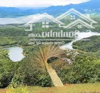 Bán 19.7Ha Đất Odt Và Cln View Hồ Tại Đắk Nông Phù Hợp Làm Dự Án Nghỉ Dưỡng