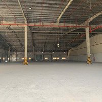 Cho Thuê Kho Đất Sck Cá Nhân, Bình Chánh. Diện Tích: 18.500M2, Nx 12.000M2. Pccc Tự Động.