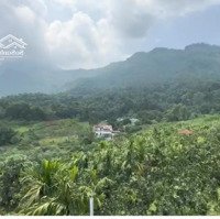 Bán Đất Ba Vì 5495M Chính Chủ, Chân Núi Ba Vì, View Đẹp, Tiềm Năng Đầu Tư Sinh Lời Cao