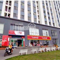 Căn Zen Tower 68M2 2 Phòng Ngủ 2 Vệ Sinhđối Diện Ủy Ban Q12_Giáp Gò Vấp