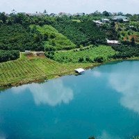 379 Triệu Cho Lô Đất View Hồ Trung Tâm Thị Trấn Lộc Thắng, Bảo Lâm , Lâm Đồng