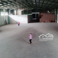 Cho Thuê Nhà Xưởng Tại Quận Hóc Môn