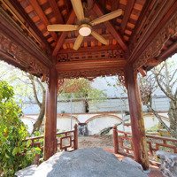 Chủ Gửi Bán Nhà Vườn Vuông Vắn 2 Mặt Đường. Hiện Có 1 Nhà Cấp 4. 1 Lầu Uống Trà Và Nhiều Cây To