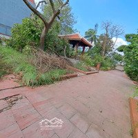 Chủ Gửi Bán Nhà Vườn Vuông Vắn 2 Mặt Đường. Hiện Có 1 Nhà Cấp 4. 1 Lầu Uống Trà Và Nhiều Cây To