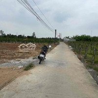 Bán Đất Thổ Giá Rẻ