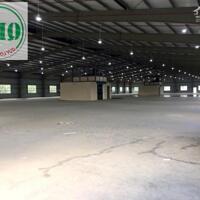 Cho thuê nhà xưởng 10.080m2 tại KCN Thịnh Phát, Bến Lức, Long An