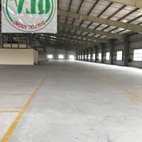 Cho thuê nhà xưởng 10.080m2 tại KCN Thịnh Phát, Bến Lức, Long An