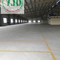 Cho thuê nhà xưởng 10.080m2 tại KCN Thịnh Phát, Bến Lức, Long An