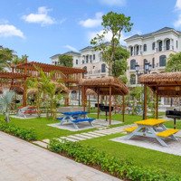 Bán Nhanh Căn Liền Kề Đảo Dừa Vinhomes Ocean Park 2, 64M2 Gần Công Viên Bể Bơi Chỉ 9 Tỷ