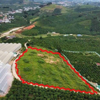 Không Tìm Thấy Lô Thứ 2 .Diện Tích Gần 7000M2 Bám 350M Mặt Tiền Mà Chỉ 2 Tỷ 580 Triệu