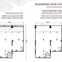 Liệu Rằng Sau 5 Năm Căn Shophouse 416,5 M2 Vip Nhất Dự Án Celadon City Sẽ X2 Giá Trị