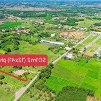 Bán Lô Đất Ngay Gần Nhà Vườn Bòn Bon- Long Tân- Đất Đỏ- Brvt Diện Tích: 500M2 Ngang 12M Dài 42M