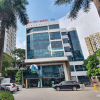 Nhà Mặt Tiền Nguyễn Văn Đậu, P.6, Q.bình Thạnh. Dt: 10X26M(245M2) 5 Tầng Hđ Thuê 120 Triệu/Th Bán 45 Tỷ