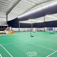 Sang Sân Cầu Lông Pickleball Tân Phú