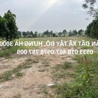 Bán đất xã tây đô, hưng hà, thái bình trục huyện 3000m2-2tr/m2-0933018467-0978787009