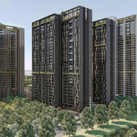 Pkd Capitaland Tổng Hợp Quỹ Hàng Chuyển Nhượng 1-2-3- 4 Phòng Ngủ Pent, Duplex Đẹp Nhất Dự Án Giá Tốt