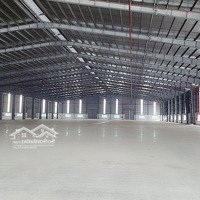 Cho Thuê Kho Xưởng 8700M2 Kcn Hựu Thạnh, Đức Hòa, Long An