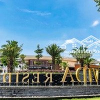 Căn Biệt Thự Vườn La Vida Residences Giá Chỉ 6 Tỷ Vnd Tại Vũng Tàu