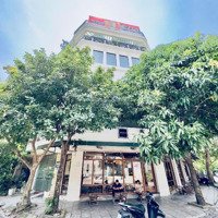 Mp Kinh Doanh Cafe.lô Góc 2 Vỉa Hè.viêw Vườn Hoa,Kinh Doanh Thang Máy Xịn, Điện Năng Lượng Măt Trơi