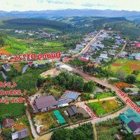 Khu Nhà Vườn Home Stay Bảo Lộc Giá Bán 28 Tỷ