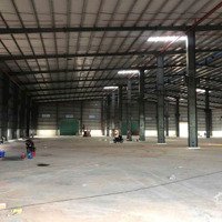 Cho Thuê Xưởng 13000M2 Tại Tân Uyên Bình Dương