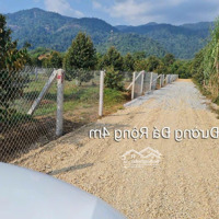 1088M2 Đất Nghỉ Dưỡng View Suối Cực Chill, Trên Đất Có Sầu Riêng Đang Thu Hoạch, Khí Hậu Mát Mẻ