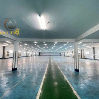 Cho Thuê Xưởng Sạch Riêng Biệt 5200M2 Kcn Long Bình, Biên Hòa