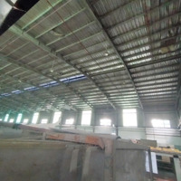 Cho Thuê Kho Xưởng Xã Lê Minh Xuân,Bình Chánh , Khuôn Viên : 20.000M2 , Xưởng : 12.000M2