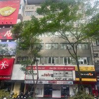 Cho Thuê Shophouse Tại Phố Phương Mai, Đống Đa. Diện Tích 160M2 X 3 Tầng, Mặt Tiền 8M