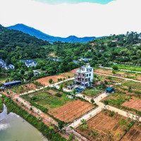 Còn Số Lượng Hiếm Lô Đất Siêu Đẹp Nhìn Trực Tếp View Hồ Yên Bài, Núi Ba Vì