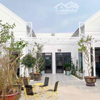 Cần Cho Thuê Villa Đường Tô Hiệu