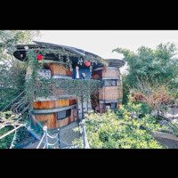 Cần Cho Thuê Homestay Sân Vườn