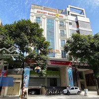 Cực Rẻ! Bán Toà Nhà 449E Sư Vạn Hạnh Ngay Vạn Hạnh Mall (11X24M, Hầm 7 Tầng) Hđt: 230 Tr/Th - 42 Tỷ