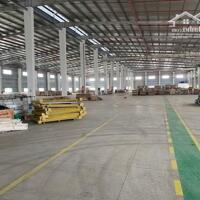 Cho thuê kho xưởng mới DT 8000m2 KCN Minh Quang, Mỹ Hào, Hưng Yên.