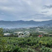 Cho Thuê Đất View Đẹp Làm Quán Cafe Phê, Khu Checkin Gần Đà Lạt