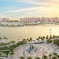 Chính Chủ Cần Bán Song Lập Ngọc Trai Đảo Nhỏ Vinhomes Ocean Parkdiện Tích165.6M Giá Bán 38.5 Tỷ