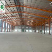 Cho thuê nhà xưởng 4.600m2 tại Hướng Thọ Phú, Tân An,  Long An