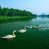 Bán Quỹ Căn 3 Phòng Ngủtầng Đẹp Giá Cđt Tại The Fibonan Ecopark, Sổ Lâu Dài + Quà Tặng , Chiết Khấu Cao.