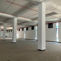 Cho Thuê Kho Xưởng 1000M2; 3000M2; 5000M2; 15000M2 Ql 1A, Linh Trung, Thủ Đức Gần Kcx Linh Trung 1