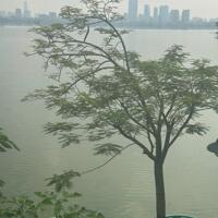 Chính chủ bán nhà Mặt phố Xuân Diệu , view hồ Tây 78m2 x5 tầng,MT 5,5m giá 6x tỷ.LH 0888486262.