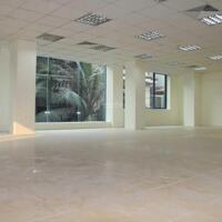 VP 45M2, 65M2 GIÁ RẺ, KHU TRUNG TÂM, FREE DỊCH VỤ. LH NGAY 0929236669