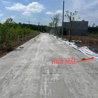 Đất Vườn 2266Mv Full Hồng Giáp Đại Lộ Đông Tây Xã Quảng Tiến Trảng Bom