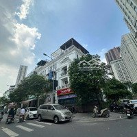 Bán Biệt Thự Lô Góc 136M2, 5 Tầng - Roman Plaza - Tố Hữu - Hải Phát - Kinh Doanh Sầm Uất Ngày Đêm