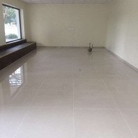 Mbkd 300M2 Showroom, Vpgd Gần Nguyễn Lân, 50 Tr/Th